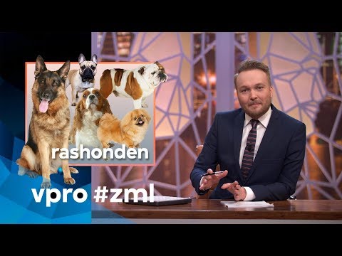 Purebred dogs - Sunday with Lubach (S08)