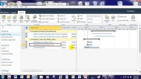 Project Web App Demo