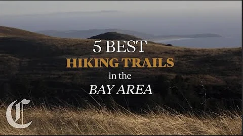 Five Best Hiking Trails in the Bay Area, According to AllTrails Reviews