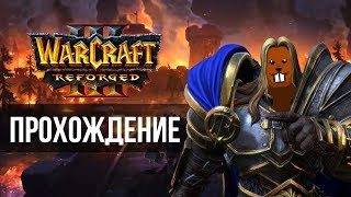 Прохождение Warcraft III: Reforged с Майкером 5 (1) часть (Высокий)
