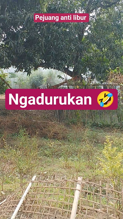 ngadurukan runtah 🤣#shortvideo #shortsviral #dangdutkoplo #trending #music #shorts #fyp #viral