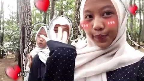 Tugas membuat Vlog, Informatika kelas 9 - 📍 Pinus Pengger PART 2