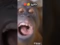 واش رايكم في زوجكم المستقبلي 2024 هههه ههههه