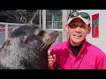 HamaTube始動！お家で楽しもう桂浜水族館！