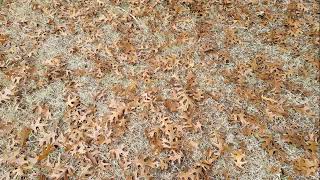 Sufi Ney Relax Inspiration Esoteric Calm Ambient Focus Meditate screenshot 2