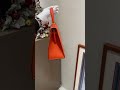The Iconic Orange Hermès Kelly 25 Too Bold Or Just Perfect mp3