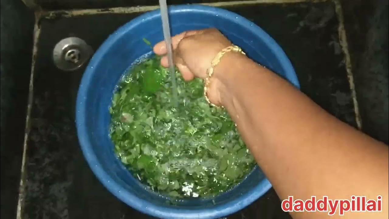 spinach recipe in tamil YouTube