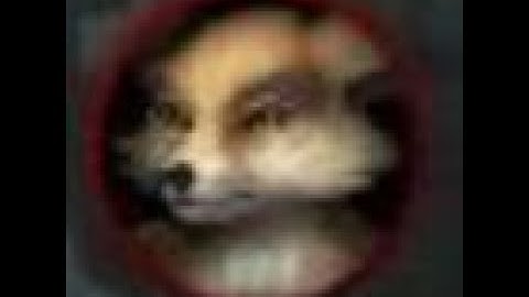 Vulpera Male Shadowlands Character Customization