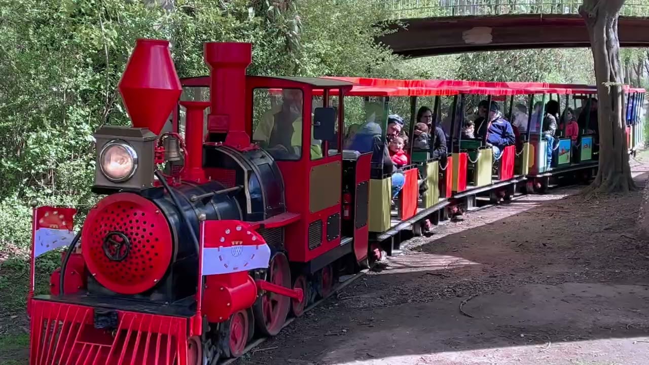 Flora / Botanischer Garten und Rheinpark in Köln