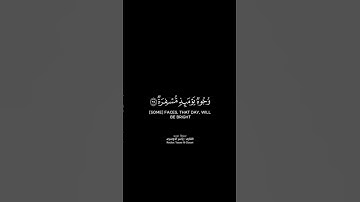 يوم يفر المرء من أخيه شاشة سوداء | كرومات قرآن كريم بصوت #ياسر_الدوسري | #سورة_عبس
