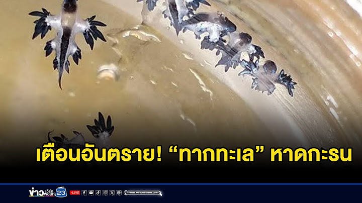 เตือนอันตราย! “ทากทะเล” หาดกะรน | ข่าวเช้าเวิร์คพอยท์ | 12 กรกฎาคม 2568