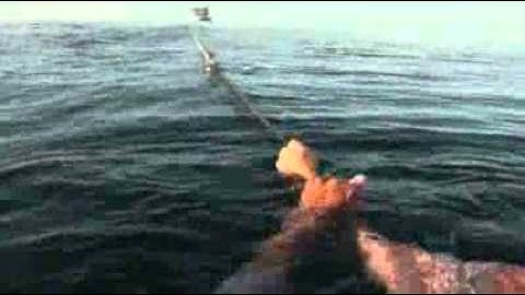 Deadly ghost net found off NT