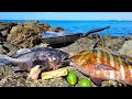 Catch&#39;n Cook&#39;n EXOTIC Fish on a FOREIGN ISLAND!