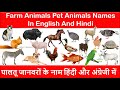 Farm Animals Name Hindi &amp; English | पालतू जानवरों के नाम हिन्दी एवं अंग्रेजी में | Pet Animals List