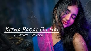 🎵 Kitna Pagal Dil Hai ❤️ | Slowed   Reverb | Feel the Emotions 🎧