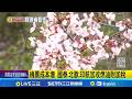 旅遊及相關事件
