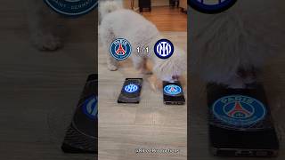 Our Dogs Predict Uefa Champions League