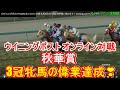 ウイニングポスト9 2022 オンライン対戦 牝馬3冠を目指し秋華賞に挑みます！winning post 9 2022 競馬