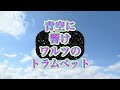 フル(cover)サーカスは青い空[チューリップさん]#弾き語り