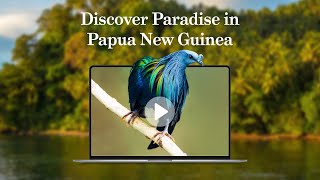 Discover Paradise in Papua New Guinea with Mike Dilger - 5 March 2025