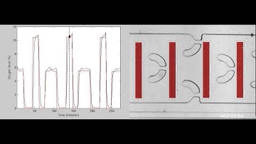 Microfluidic systems for cell-based screening of cancer treatments under controlled hypoxia