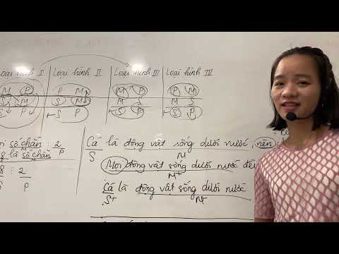 Video Khôi phục tam đoạn luận về dạng đầy đủ - logic học đại... - youtube