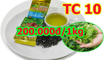 Chè Thái Nguyên ngon nhất ở Tân Cương Thái Nguyên Bạn Có Biết?