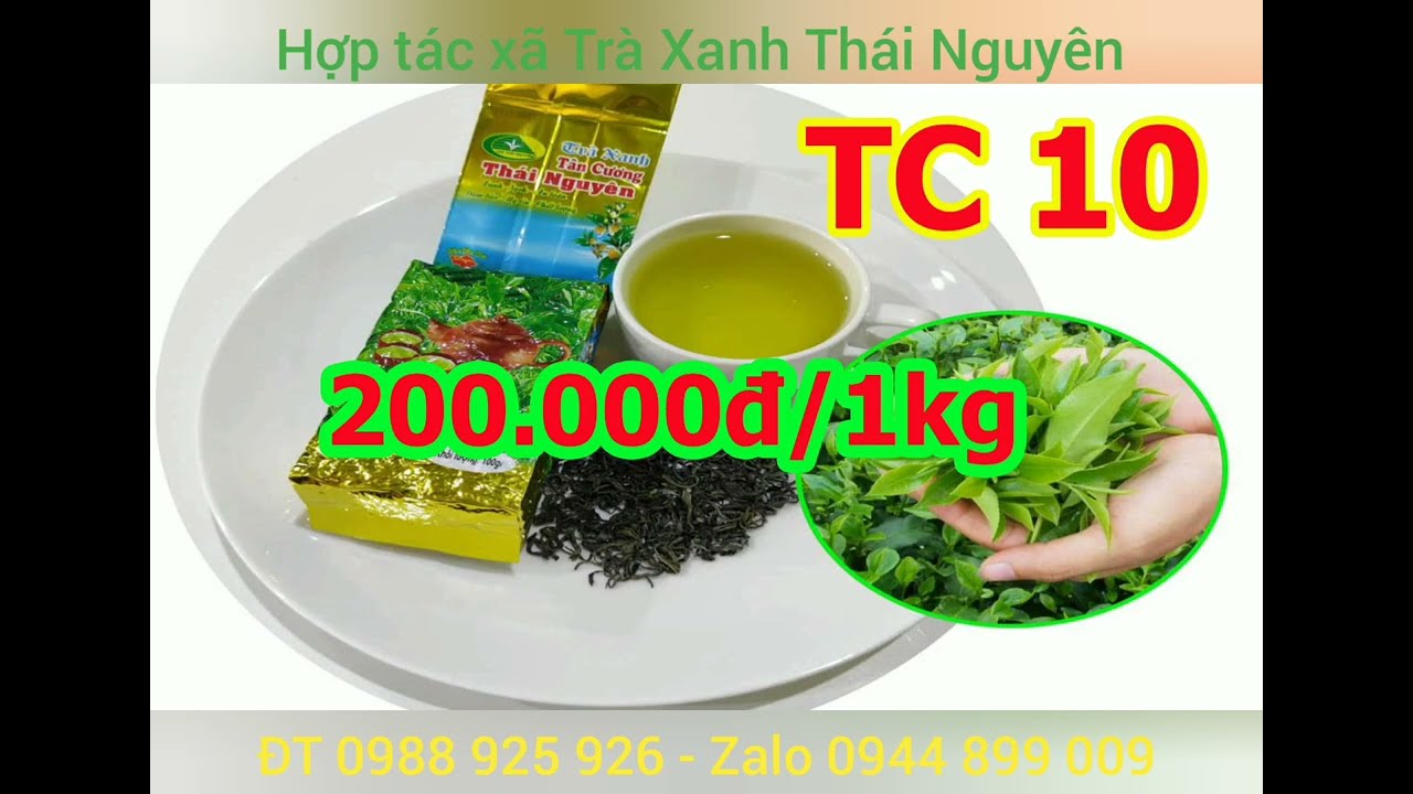 Top 10 Điều Cần Biết Về Chè Tân Cương: Hương Vị Đặc Trưng Thái Nguyên
