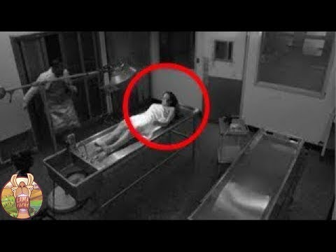 Vidéo: Le coiffeur vole l’ordinateur portable de Kevin Costner