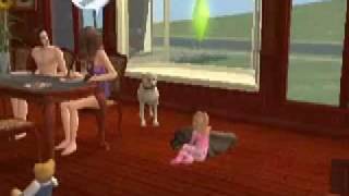 Sims 2 randomness