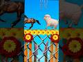 Ya Rab E Mustafa Tu Mujhy Hajj Pe Bula | Beautiful Naat 2025 | #shorts #naatshareef