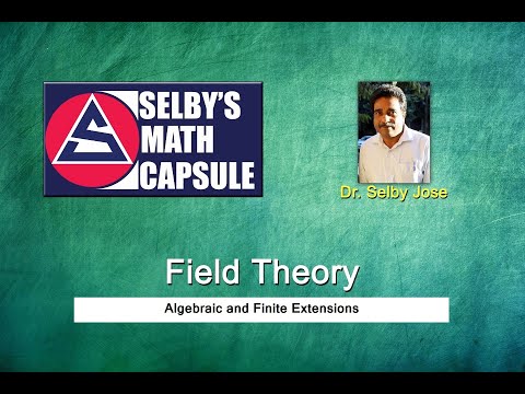 Field Theory 5: