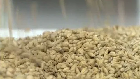 Feeding the World | Industrial Revolutions