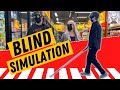 Blindness simulation  teaching my boyfriend blind life skills