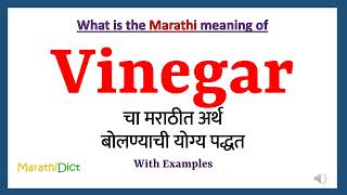 Vinegar Meaning in Marathi | Vinegar म्हणजे काय | Vinegar in Marathi Dictionary |