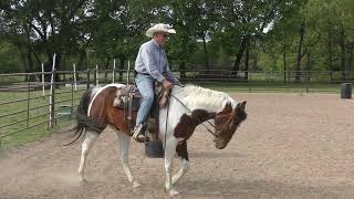 Leg Cues for Barrel Racing and Pole Bending