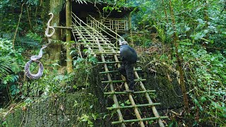 Solo Bushcaft Survival: Complete a bamboo house in the deep forest. Build a 15m high staircase.