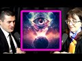 Is Reality Real Or A Hallucination Lisa Feldman Barrett And Lex Fridman Is Reality Real Or A Hallucination Lisa Feldman Barrett And Lex Fridman