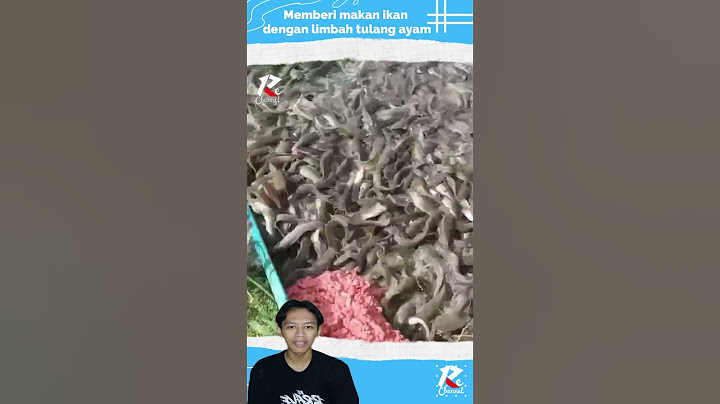 Memberi makan ikan lele dengan limbah tulang ayam#viral_video #viralshorts #youtube #shortvideo
