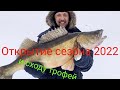 Судак на жерлицы, Юмагузинское вдхр, открытие сезона 2022 и сходу трофей