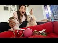 Chota baby NAAMKARAN by Cherry Mausi❤️ | Ss Vlogs :-)