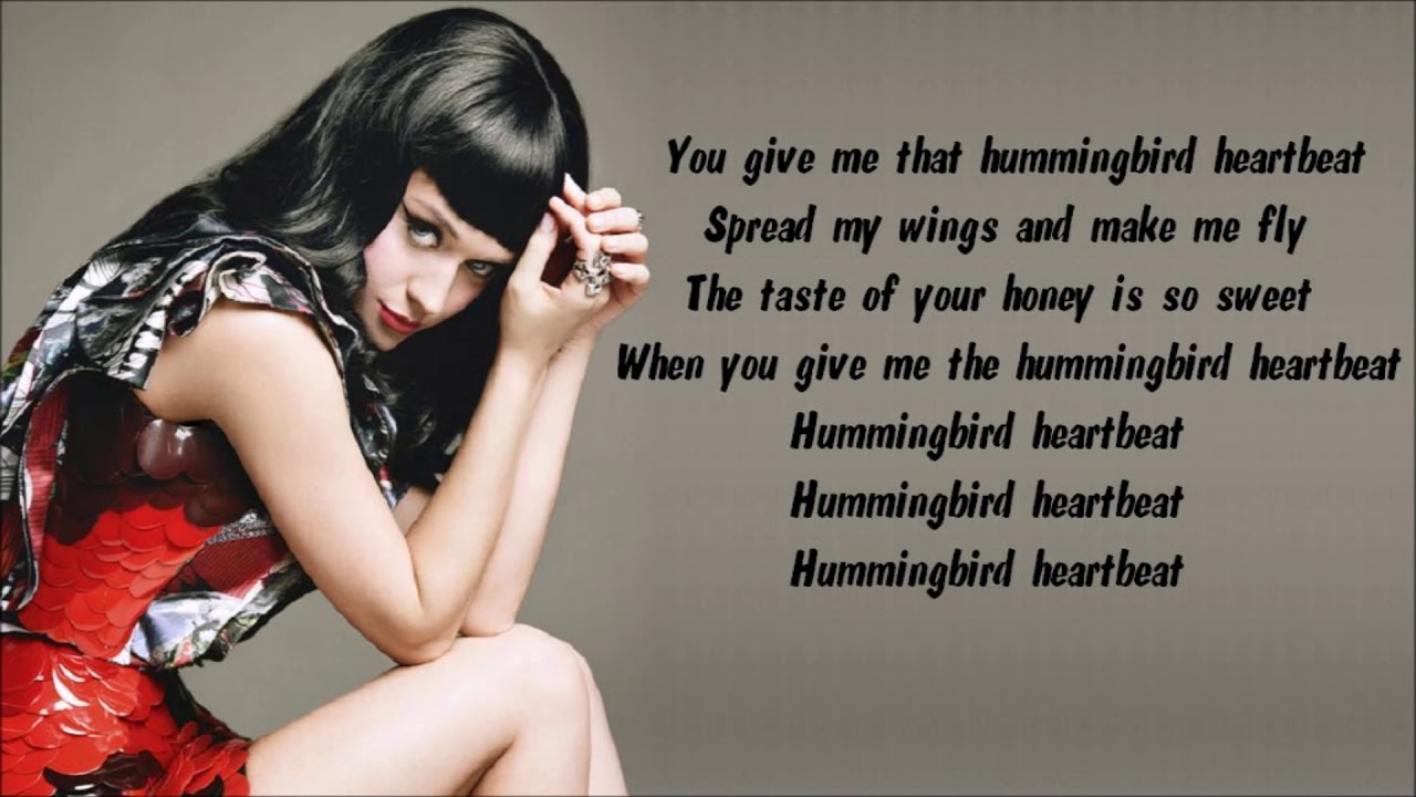 Katy Perry - Hummingbird Heartbeat Karaoke / Instrumental with lyrics