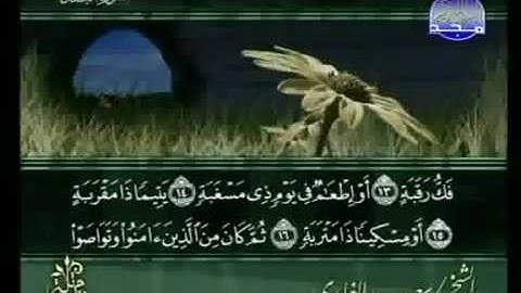 سورة البلد كاملة الشيخ سعد الغامدي