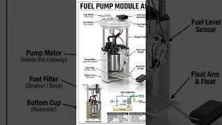FUEL PUMP MODULE ASSEMBLY#automobile #mecanica#mechanic#diy #test#viral#racing#gasolina#vira#tools