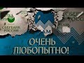 СБЕРБАНК ВСЯ ПРАВДА РЕКОМЕНДУЮ | Как не платить кредит | Кузнецов | Аллиам