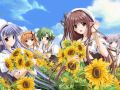 【Navel公式】『SHUFFLE!』オープニングムービー
