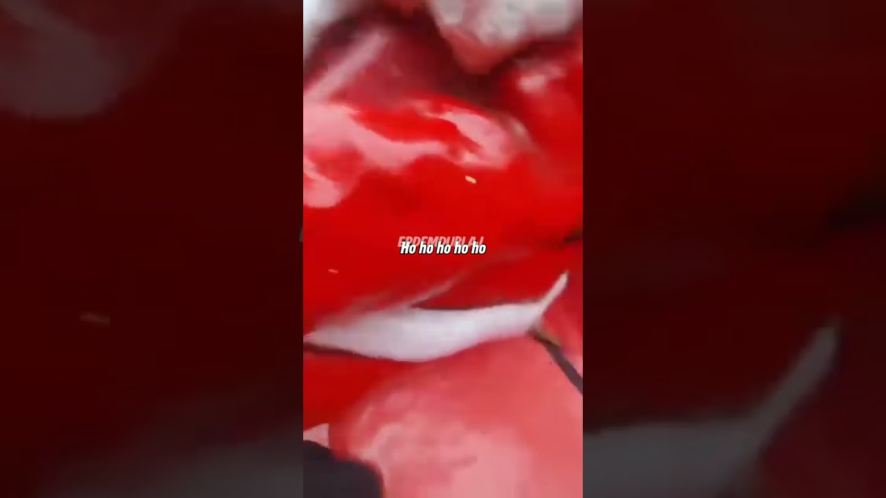 Noel Baba'ya Asla Bulaşma