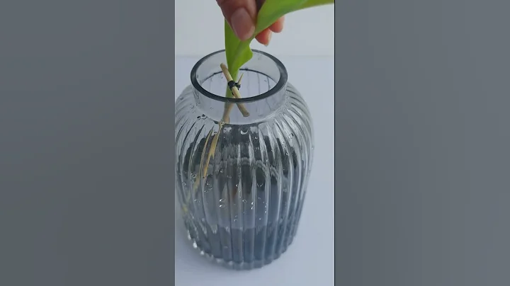 學會運用一個技巧，一兩枝花也能插得很好看 - 天天要聞