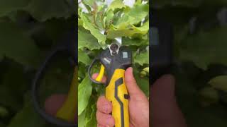 electric scissors easy use save time #tool P7884