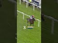 DOMINANT Classic winners! Superstars of the sport #horseracing